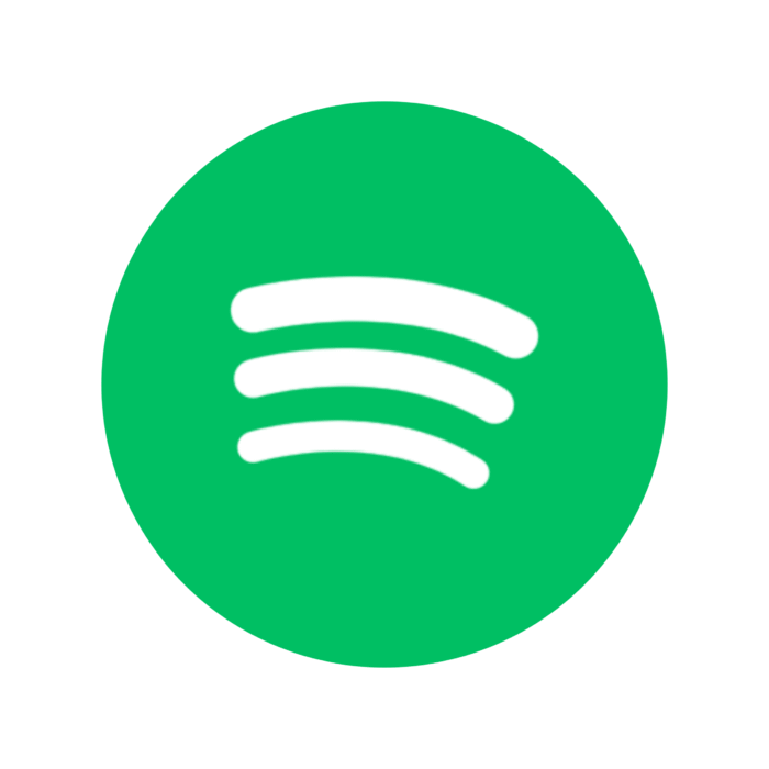 Seguidores Spotify - Imagem 1